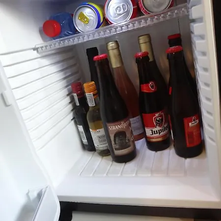 酒店 比德尔迪克酒店 德哈恩